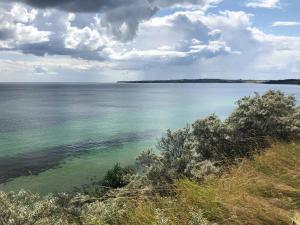 70S Oasis Near Water In Mols Bjerge