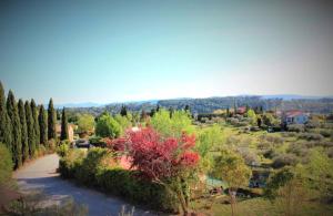 Maisons de vacances Kids Heaven Estate Near Saint-Tropez Verdon : photos des chambres