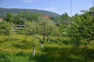 Budget Double Room room in Rosinka
