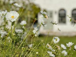 Garden House On Öland