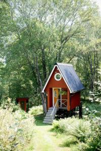 Small Cabin With Outdoor Kitchen By Forest Stream