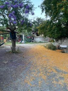 Beautiful views of the Aeolian Islands and the Cape of Milazzo