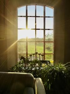 Experience The Sea And Starling Murmuration