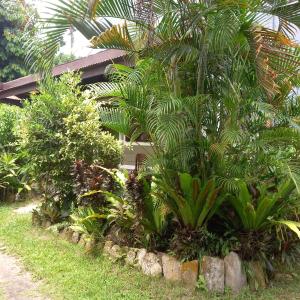 Villa Evergreen Restaurant and Rooms