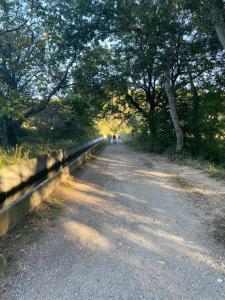 Maisons de vacances Peaceful Family Retreat In Aix-En-Provence : photos des chambres