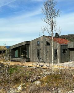 Stylish Mountain Cabin In Hallingdalen