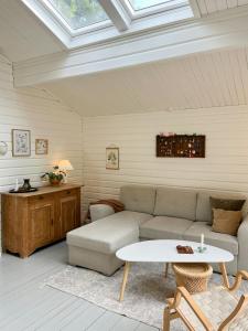 Fine Details In Forest Setting In Ebeltoft