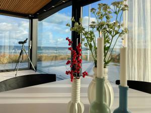 Panoramic Views And Quality At Dyngby Strand