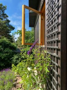 Relaxing Archipelago Cottage Near Stockholm