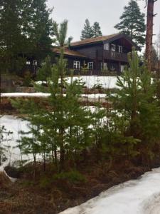 Sunny Cabin Near Gautefall