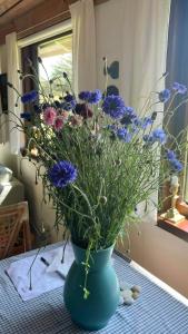 Cosy Holiday Home 260 Metres From Tranum Beach