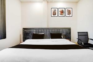 Collection O Tisaura