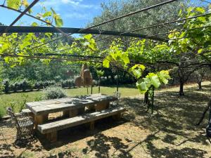 Maisons de vacances Bohemian House Overlooking Roussillon : photos des chambres