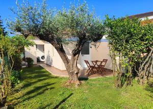 Il Posticino House in Marina, Garden and Veranda