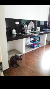 Darana House