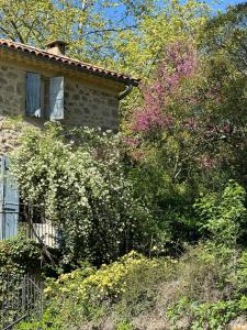 Maisons de vacances Wine Estate With Pool Near Lamalou : photos des chambres