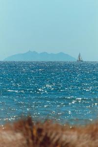 Maisons de vacances Elegant Designer Home By The Sea In Corsica : photos des chambres