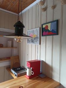 Alūksnes ezera laivu māja