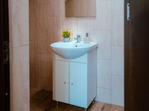 Vila Alina Calimanesti