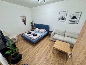 Sušilova 14 apartments IV