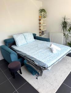 Appartements Studio Bayonne proche gare et centre-ville : photos des chambres