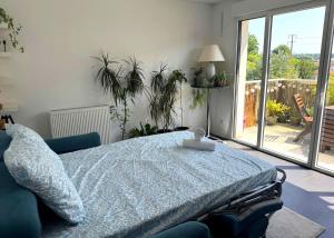 Appartements Studio Bayonne proche gare et centre-ville : photos des chambres