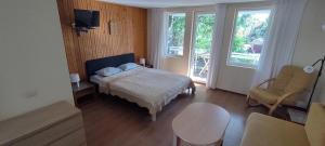 Studio with Balcony room in Vila Baldininkas
