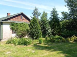 Siedlisko pod starą lipą