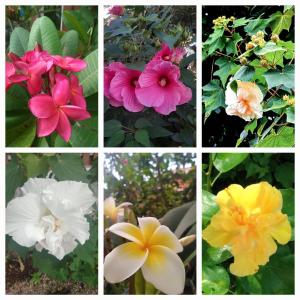 Villa ,70m2, piscine,2 chambres