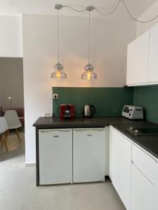 Apartment Olive Green