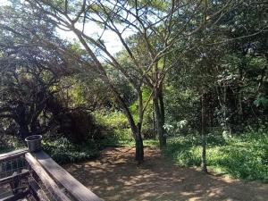 Eagles Nest Bed & Breakfast