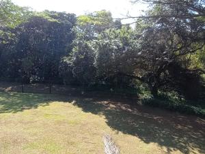 Eagles Nest Bed & Breakfast