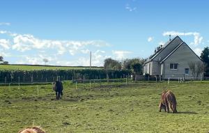 Maisons de vacances 5 Bedroom Beautiful Home In Taule : photos des chambres