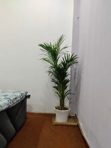 Nyay Vatika Inn