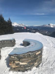Hotels Les Chalets de La Griyotire : photos des chambres
