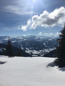 Hotels Les Chalets de La Griyotire : photos des chambres