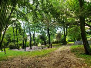 Dreamy Château for big groups and their pets
