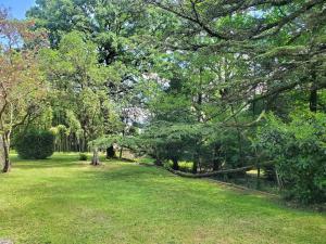 Villas Dreamy Chateau for big groups and their pets : photos des chambres