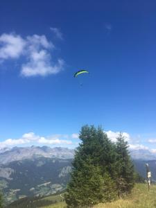Hotels Les Chalets de La Griyotire : photos des chambres