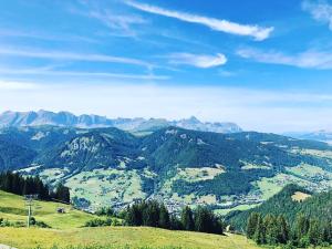 Hotels Les Chalets de La Griyotire : photos des chambres