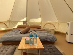 มาแคมป์ ชะอม