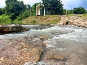 มาแคมป์ ชะอม