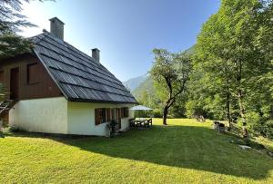 Soča House with a View - Lepena valley