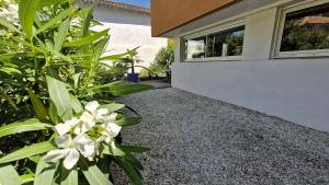 Villas Saint Georges de Didonne - CONFORT et DETENTE pour cet APPARTEMENT - 400m PLAGE : photos des chambres