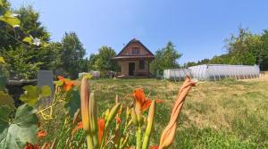 Glamping Volčji tabor - zavetje tišine sredi gozda