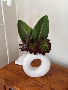 Investigator Beach Breeze Apartments U2