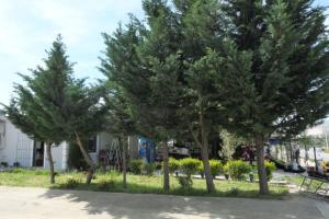 Skendo Camping