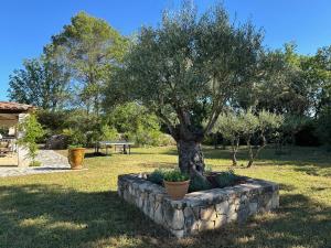 Villas Villa Libellule : photos des chambres