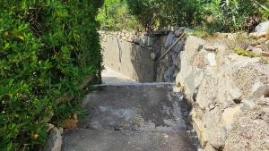 Villa Clotilde img66