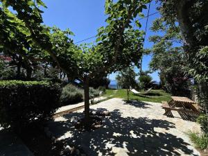 Skyros BnB Beach House Amaryllis